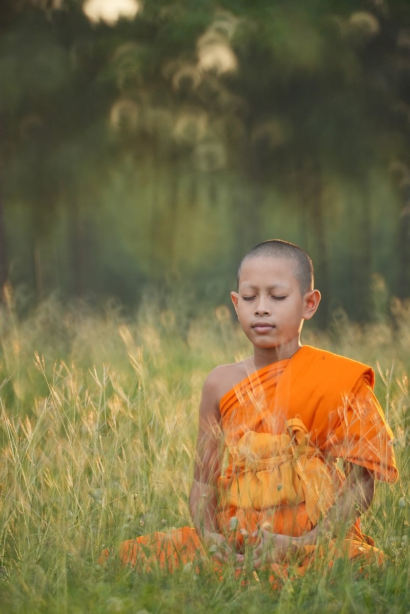 Meditation Retreat